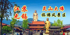 丝袜骚妣江苏无锡灵山大佛旅游风景区