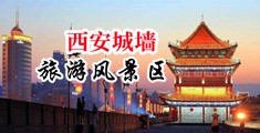 欧美老妇肛门中国陕西-西安城墙旅游风景区