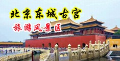 大黑鸡巴性爱中国北京-东城古宫旅游风景区